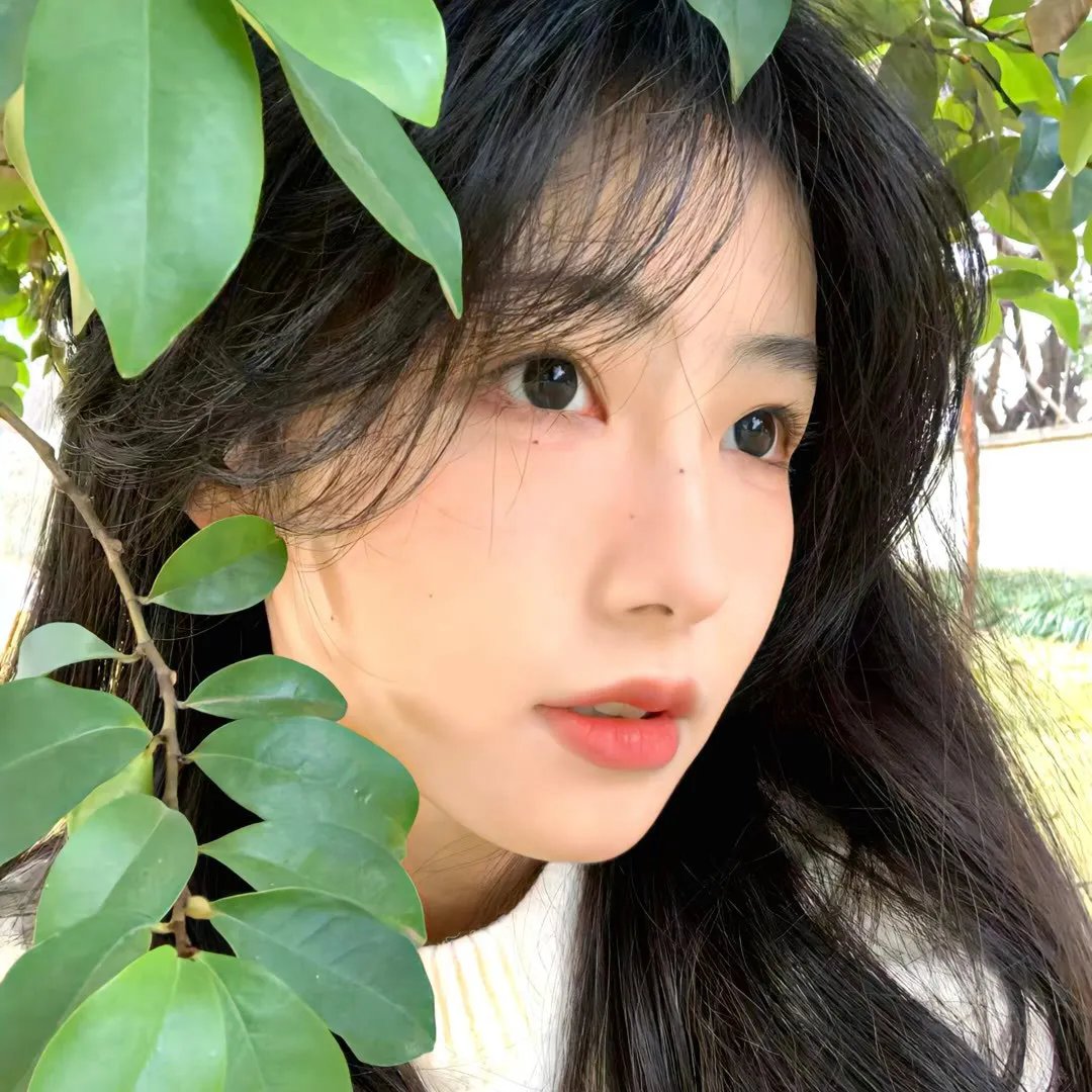 粉骷髅 海报